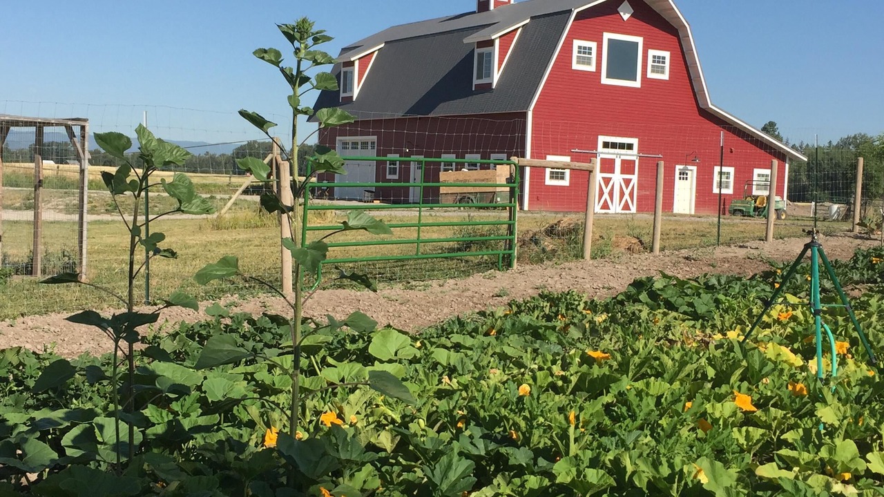 Photo of Outdoor in Kalispell