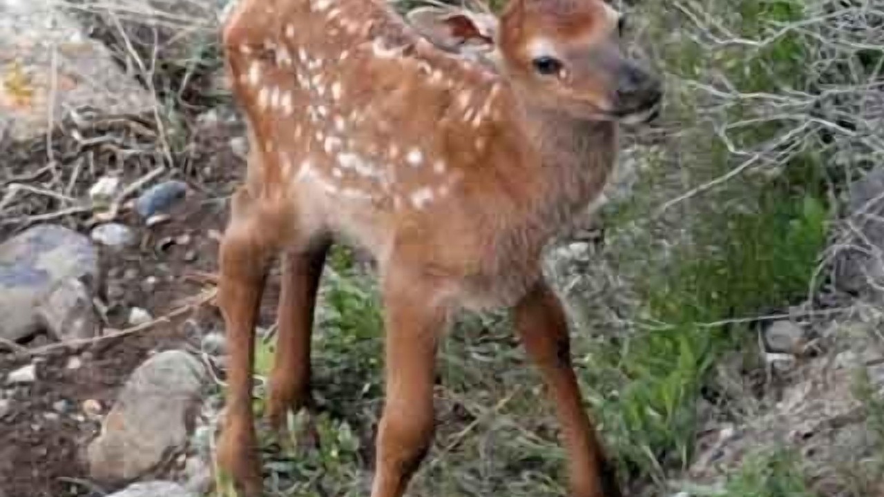 Photo of Others in Gardiner