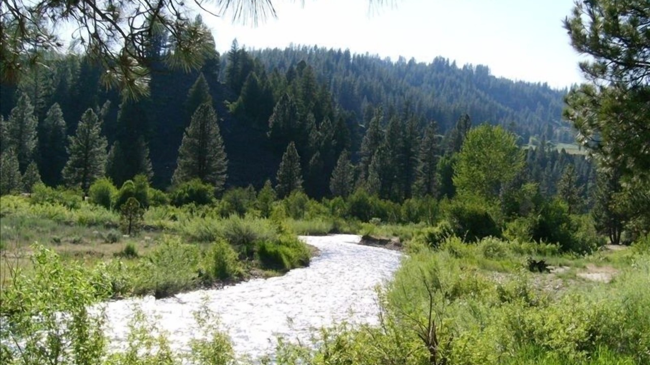 Photo of Others in Boise