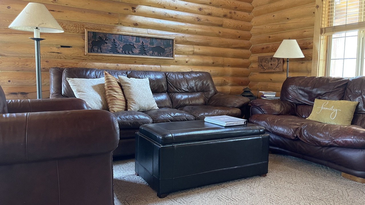 Photo of Livingroom in Last Chance