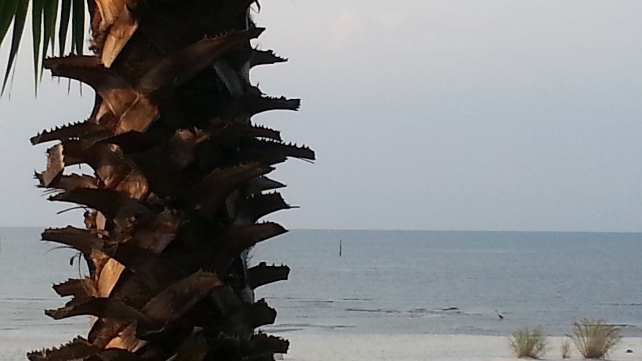 Photo of Others in Biloxi