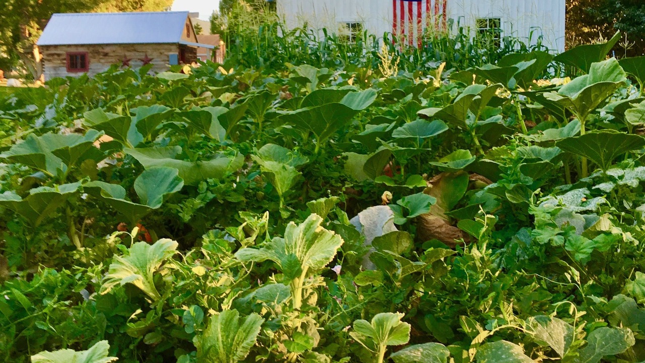 Photo of Outdoor in Spring City