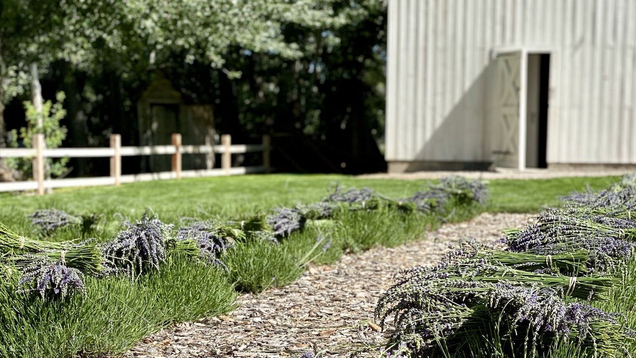 Photo of Outdoor in Spring City