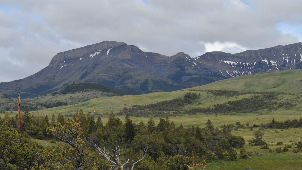 Photo of Others in Choteau