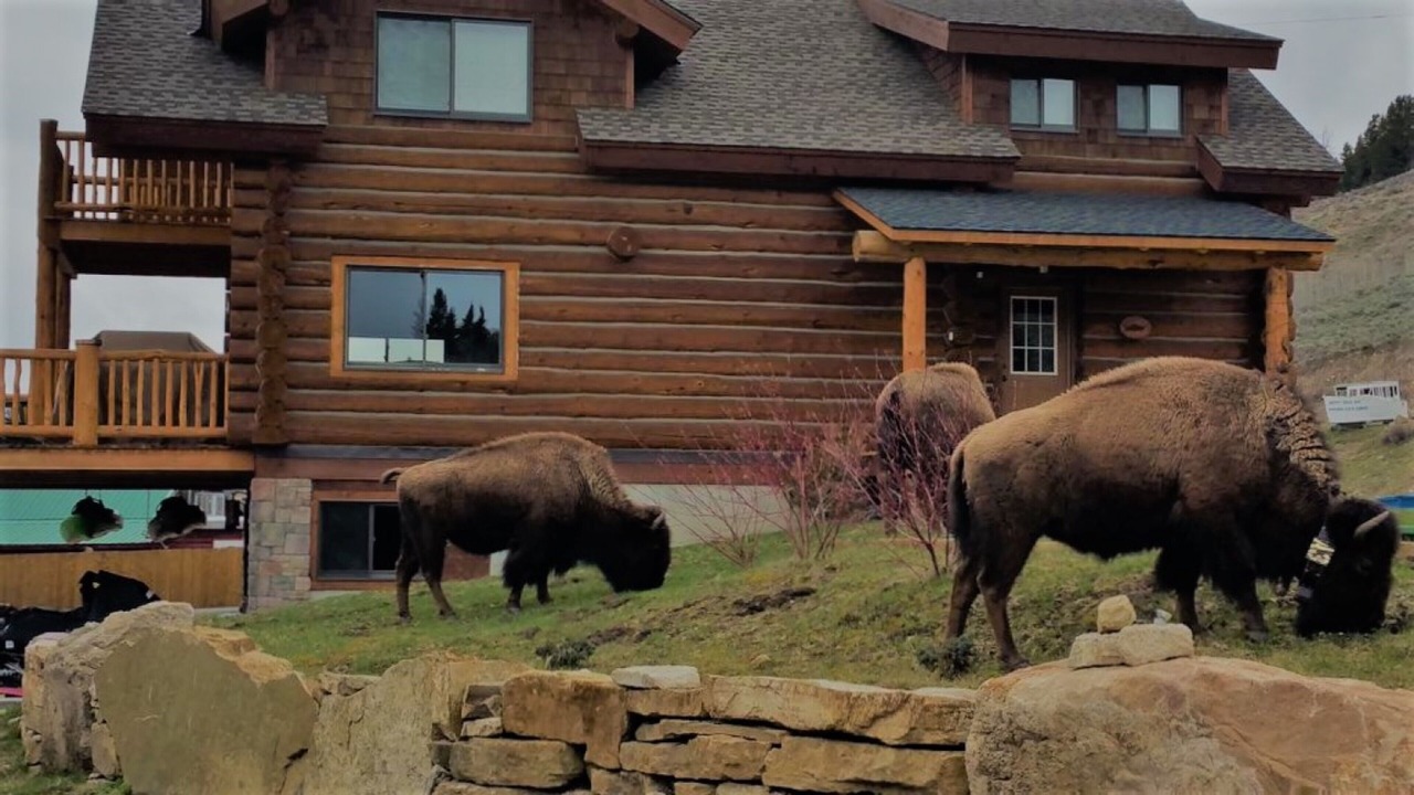 Photo of Outdoor in West Yellowstone