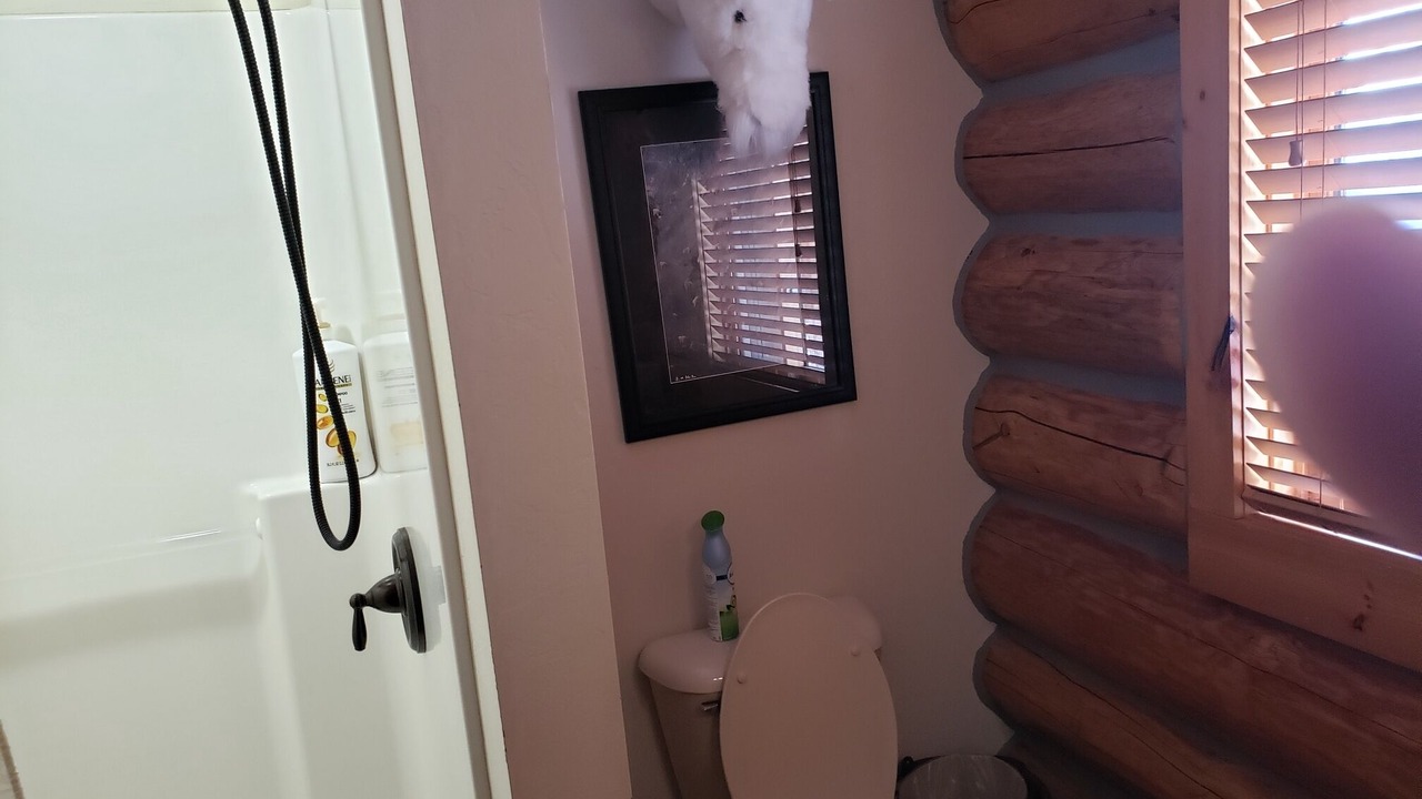 Photo of Bathroom in West Yellowstone