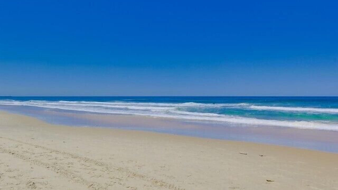 Photo of Others in Mission Beach