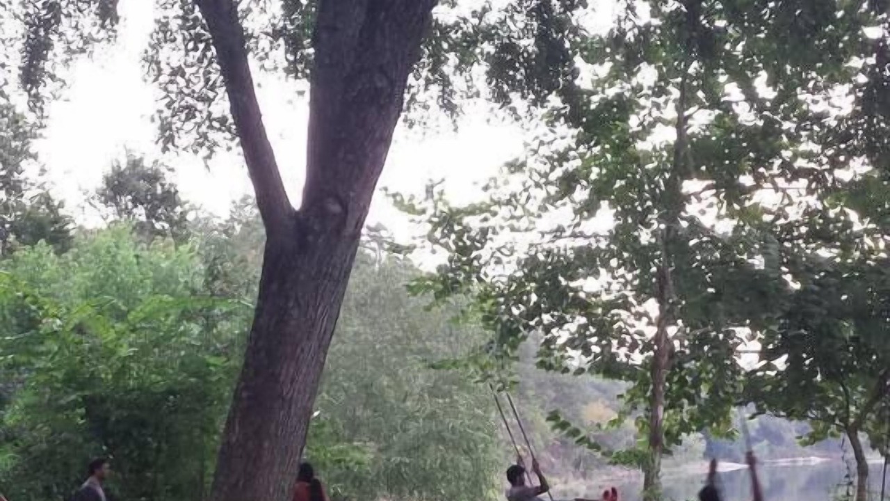 Photo of Others in Pencil Bluff
