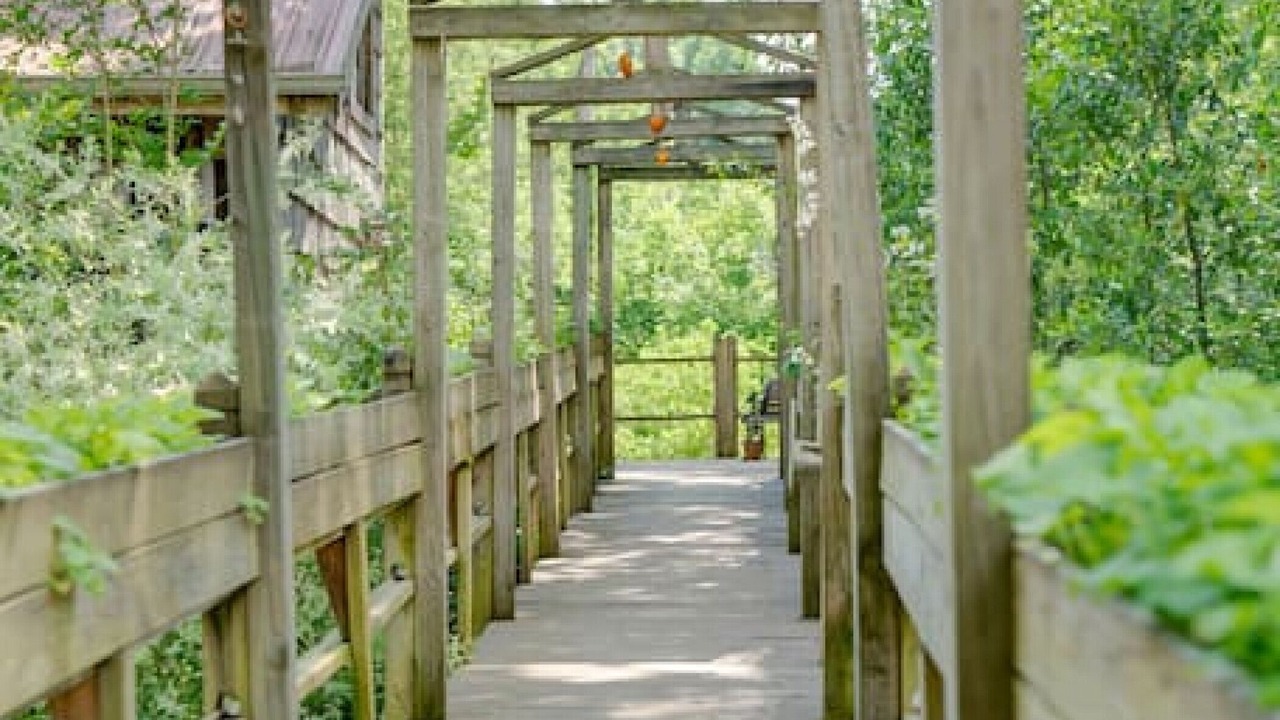 Photo of Outdoor in Springfield