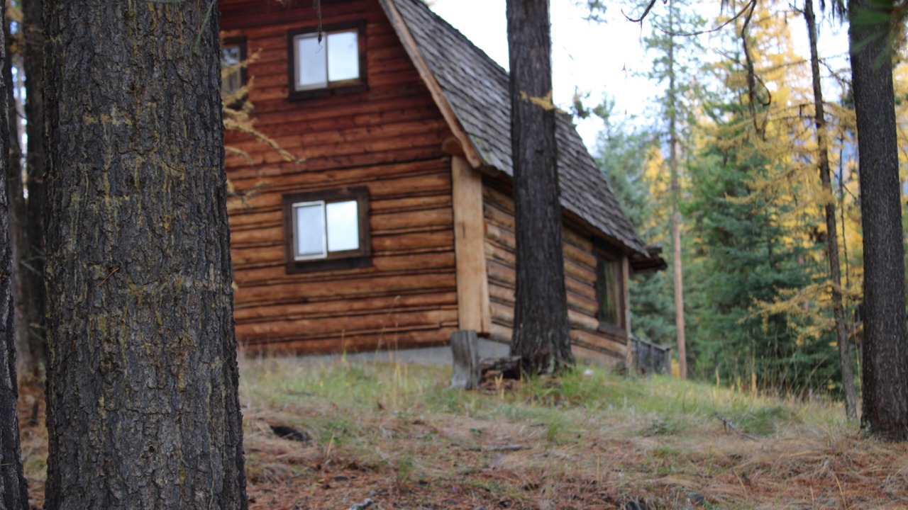 Photo of Outdoor in Condon