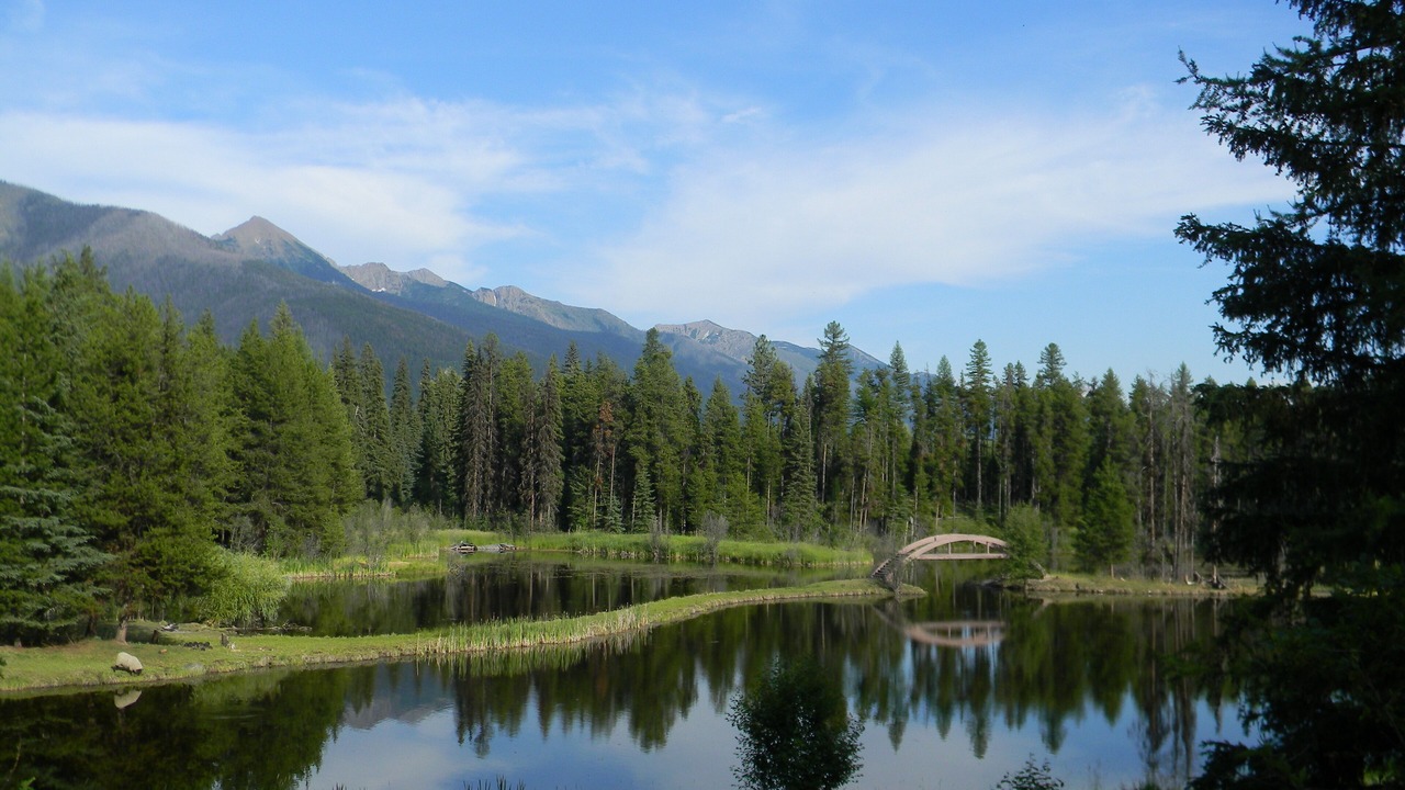 Photo of Outdoor in Condon