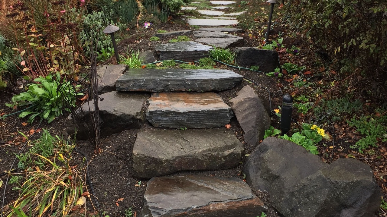 Photo of Outdoor in Central Houghton