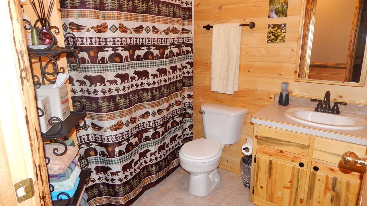 Photo of Bathroom in Island Park