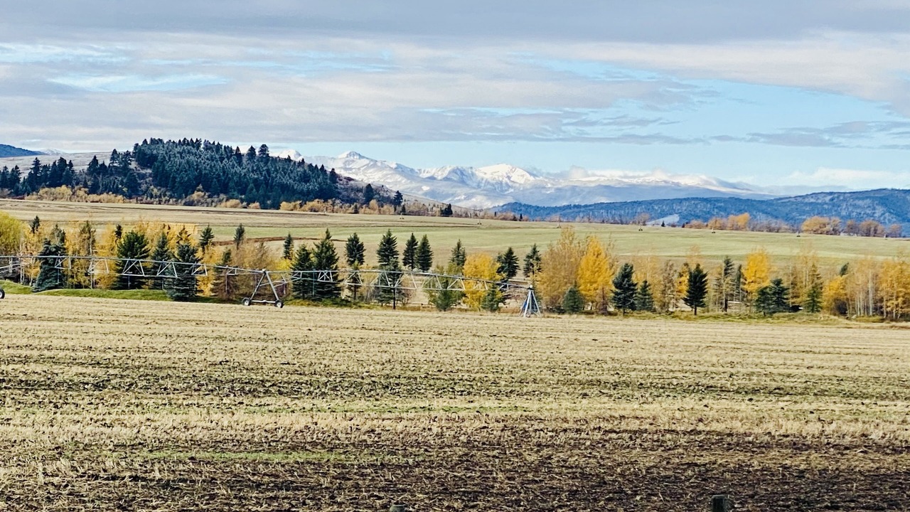 Photo of Others in Bozeman