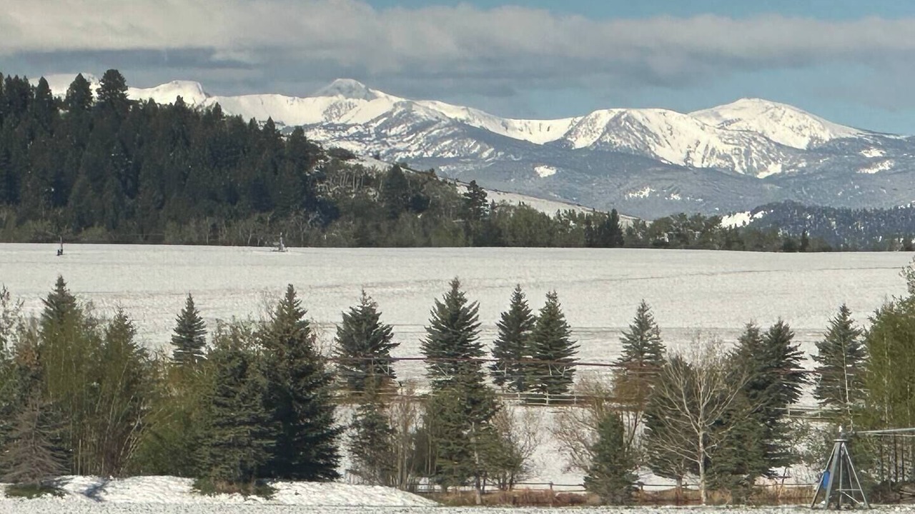 Photo of Others in Bozeman