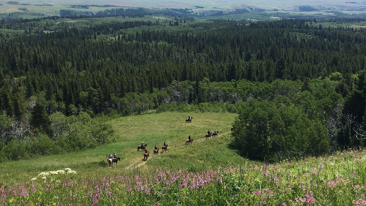 Photo of Others in East Glacier Park Village