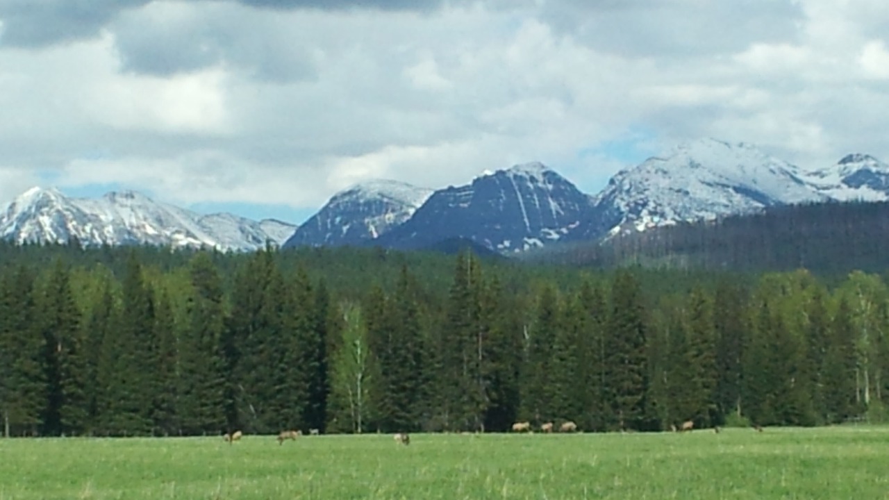 Photo of Others in Columbia Falls