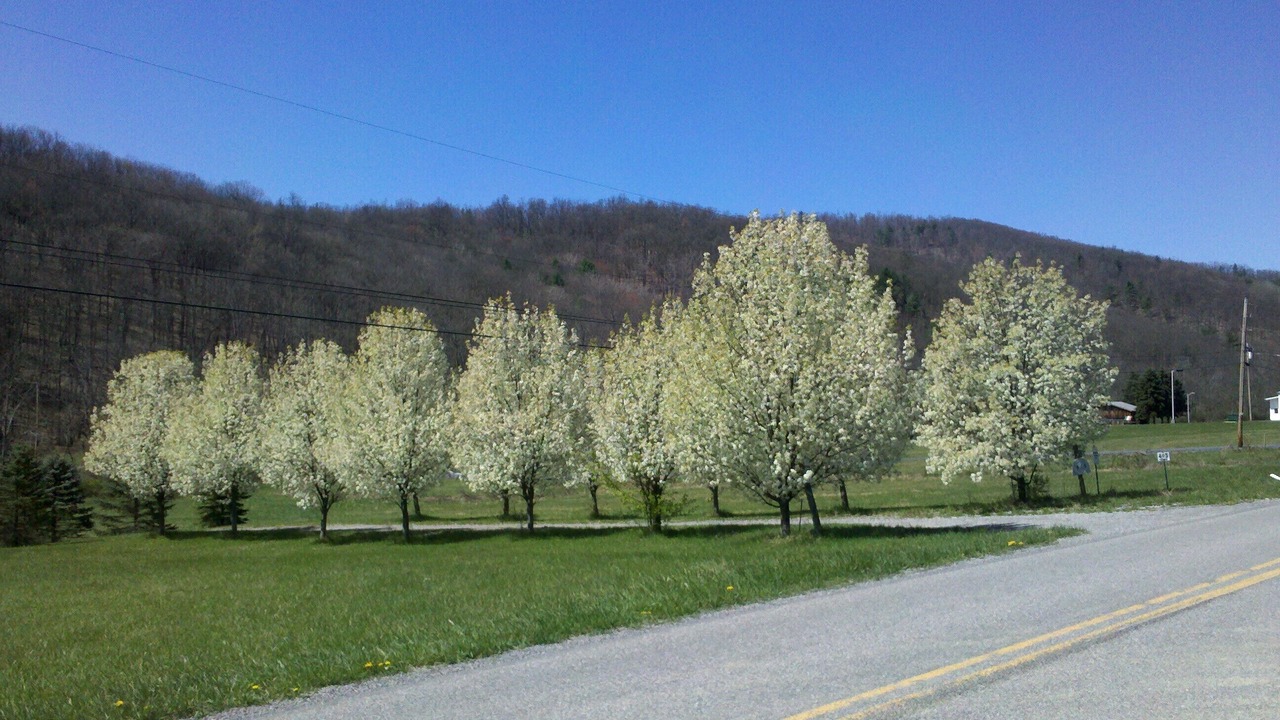 Photo of Outdoor in Julian