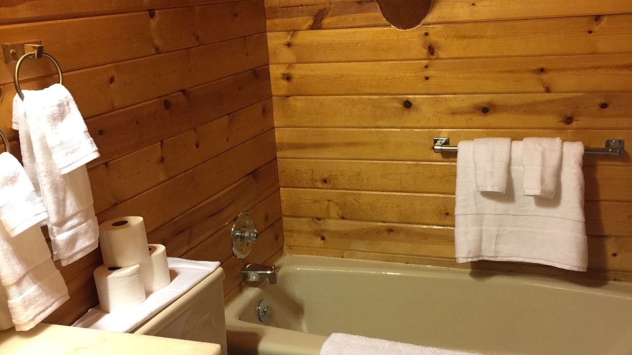 Photo of Bathroom in Afton