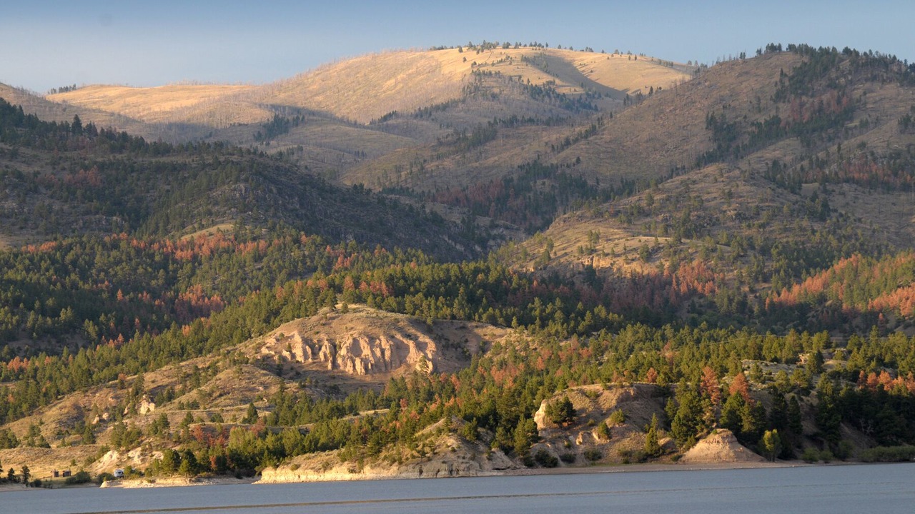 Photo of Outdoor in Helena