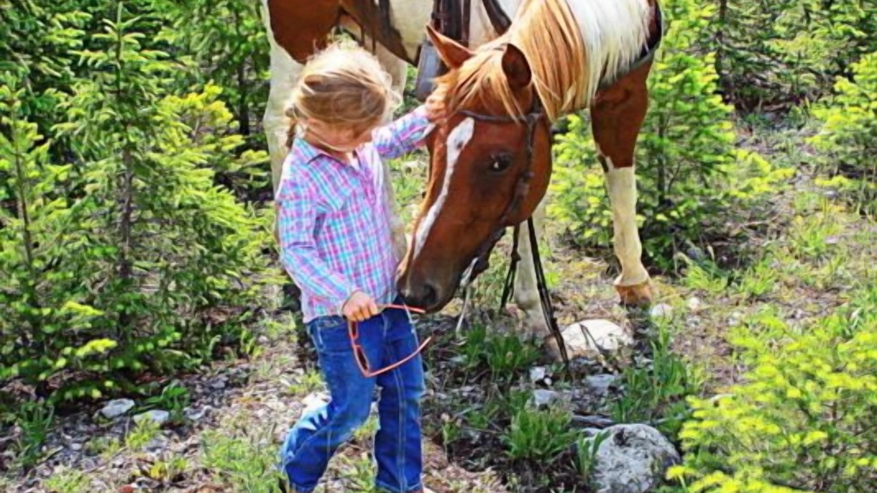 Photo of Others in Choteau