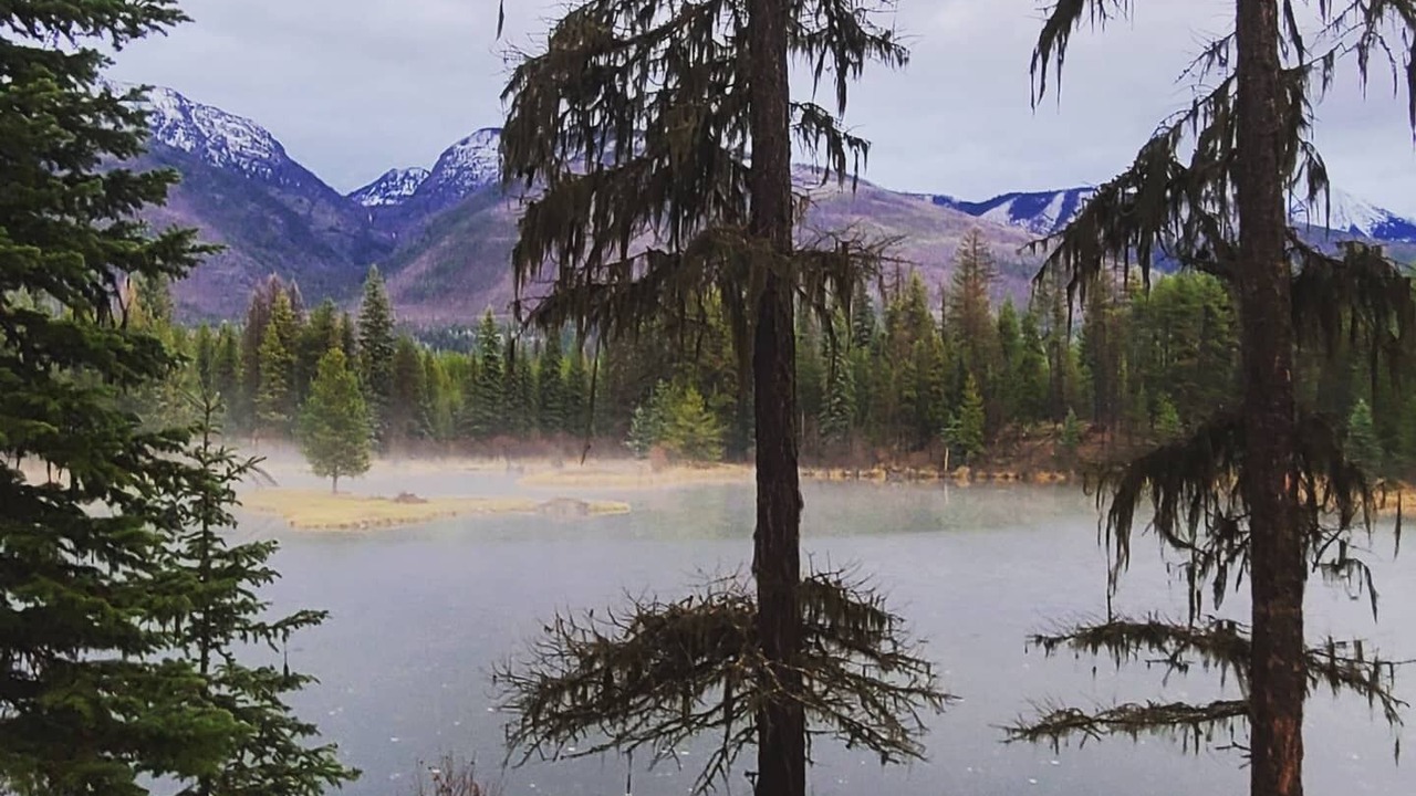 Photo of Outdoor in Condon