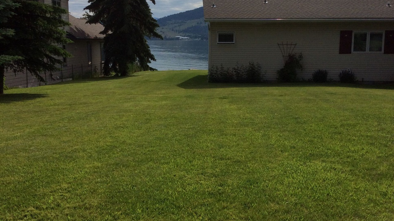 Photo of Outdoor in Big Arm
