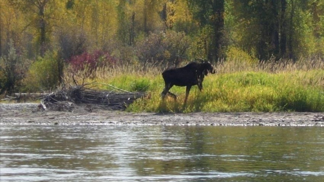 Photo of Others in Victor