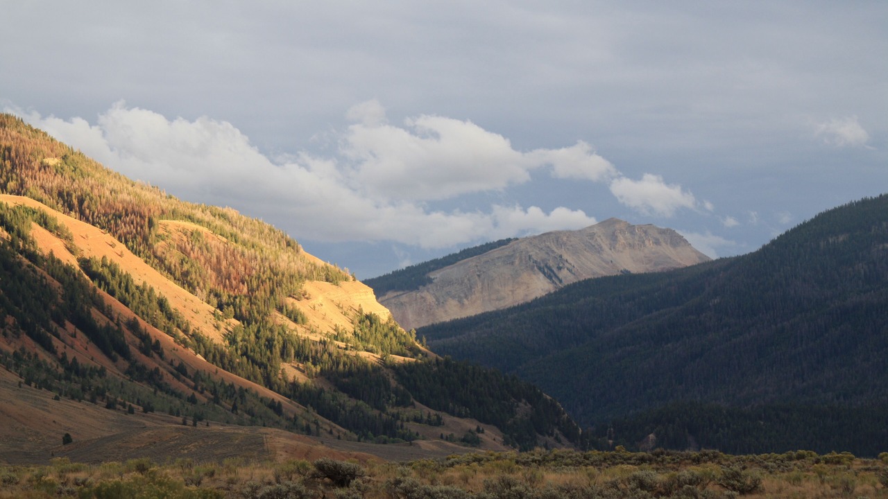 Photo of Outdoor in Victor