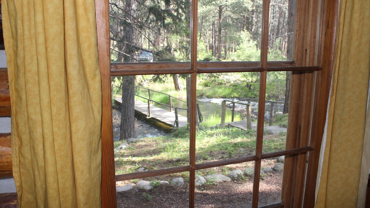 Photo of Others in Saddlestring