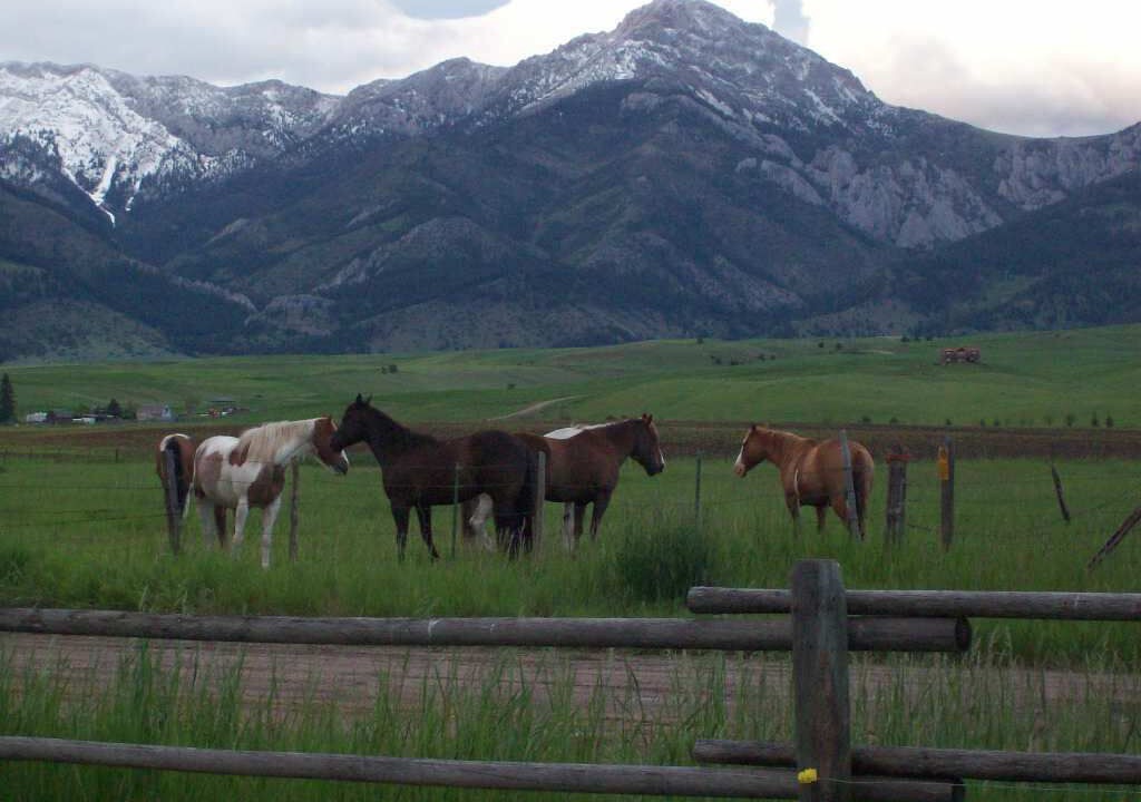 Photo of Outdoor in Bozeman