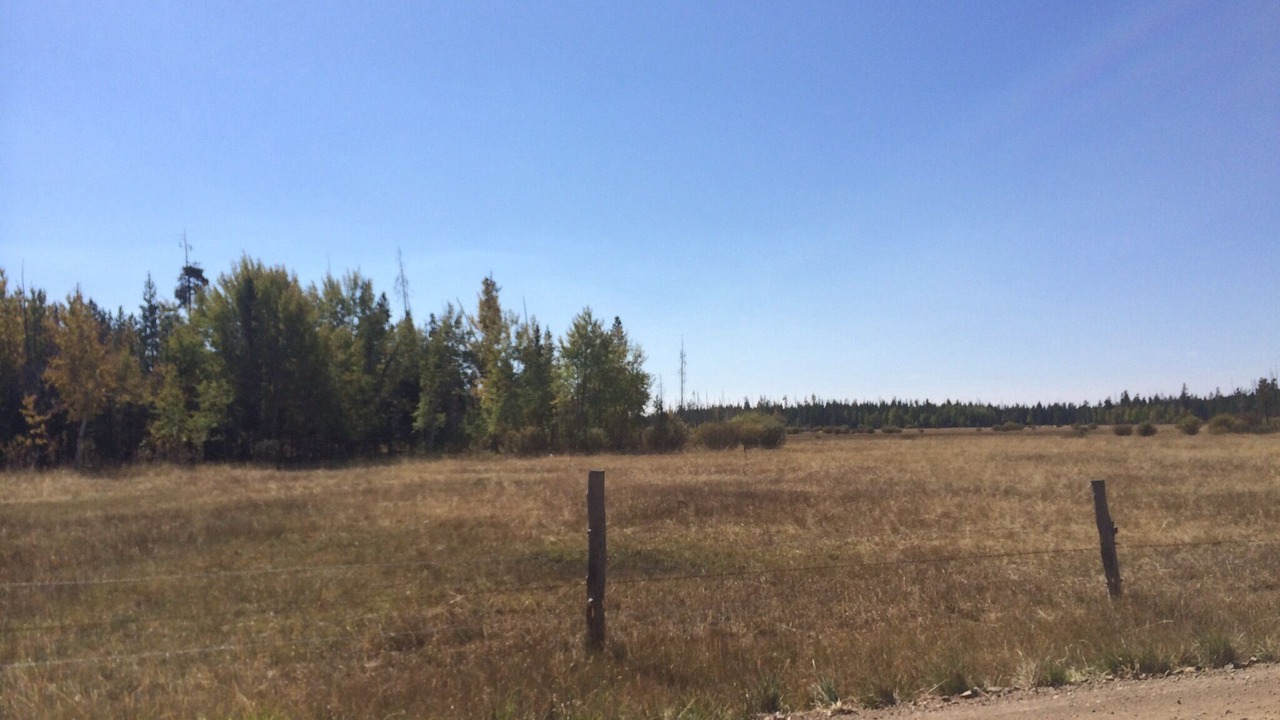 Photo of Outdoor in Island Park