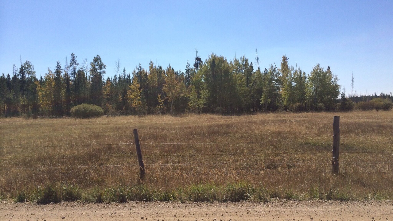 Photo of Outdoor in Island Park
