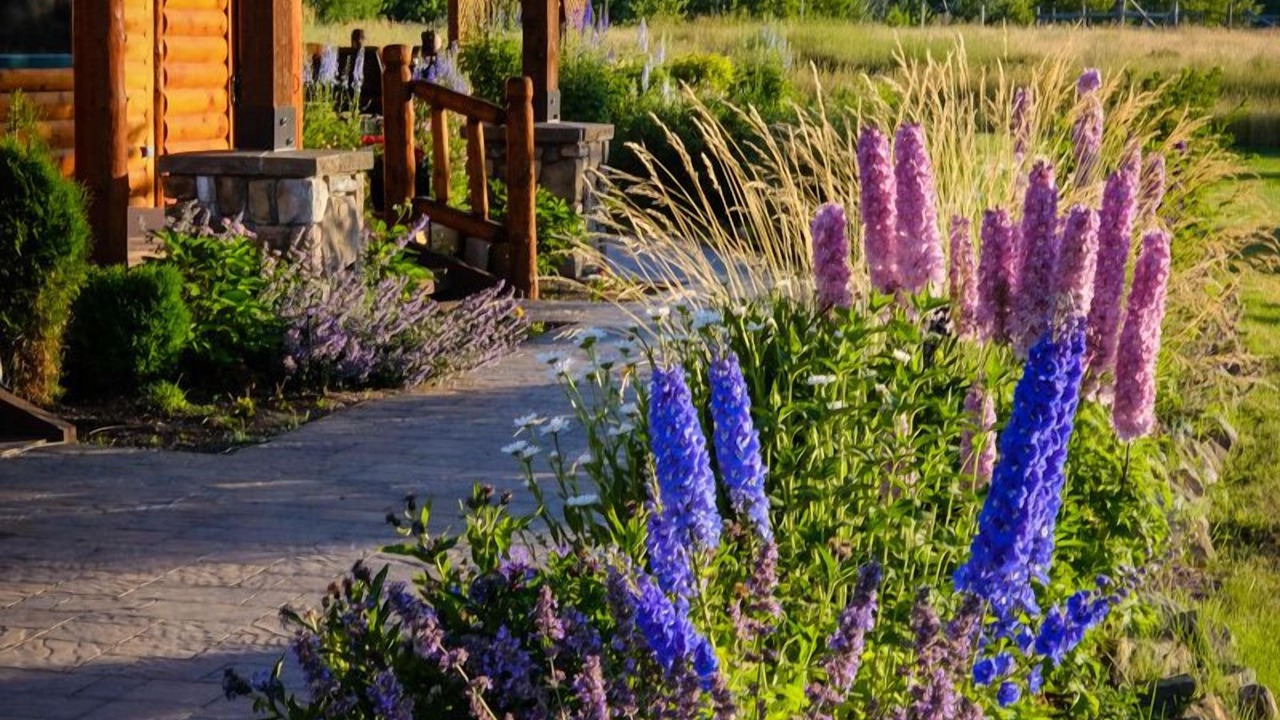 Photo of Outdoor in East Glacier Park