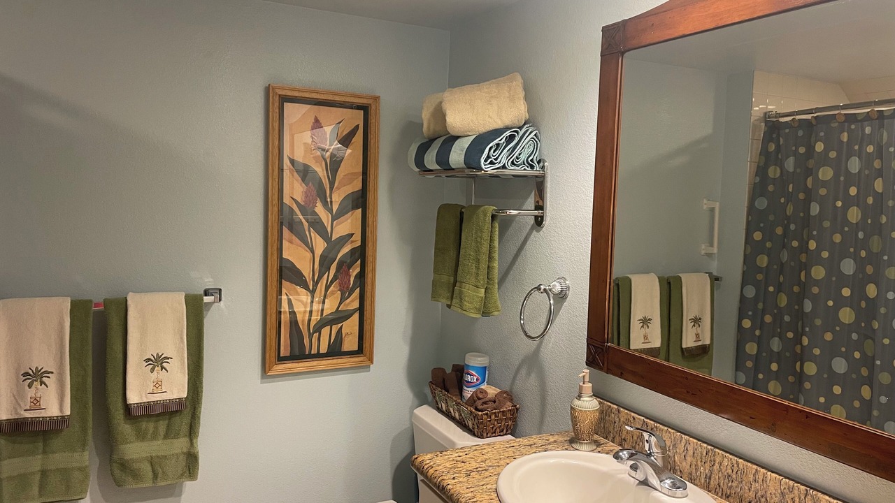 Photo of Bathroom in Wailua