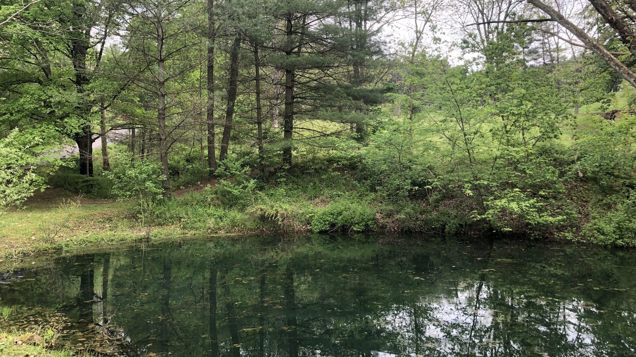 Photo of Outdoor in Carbon Hill