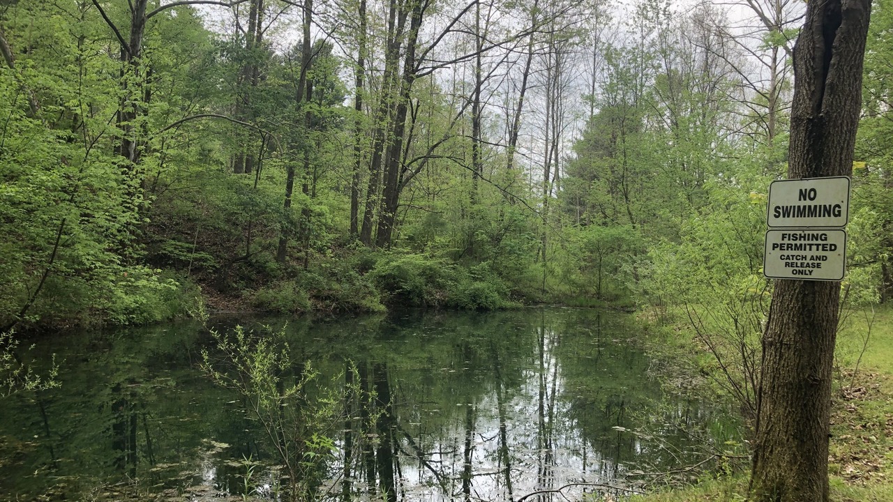 Photo of Outdoor in Carbon Hill