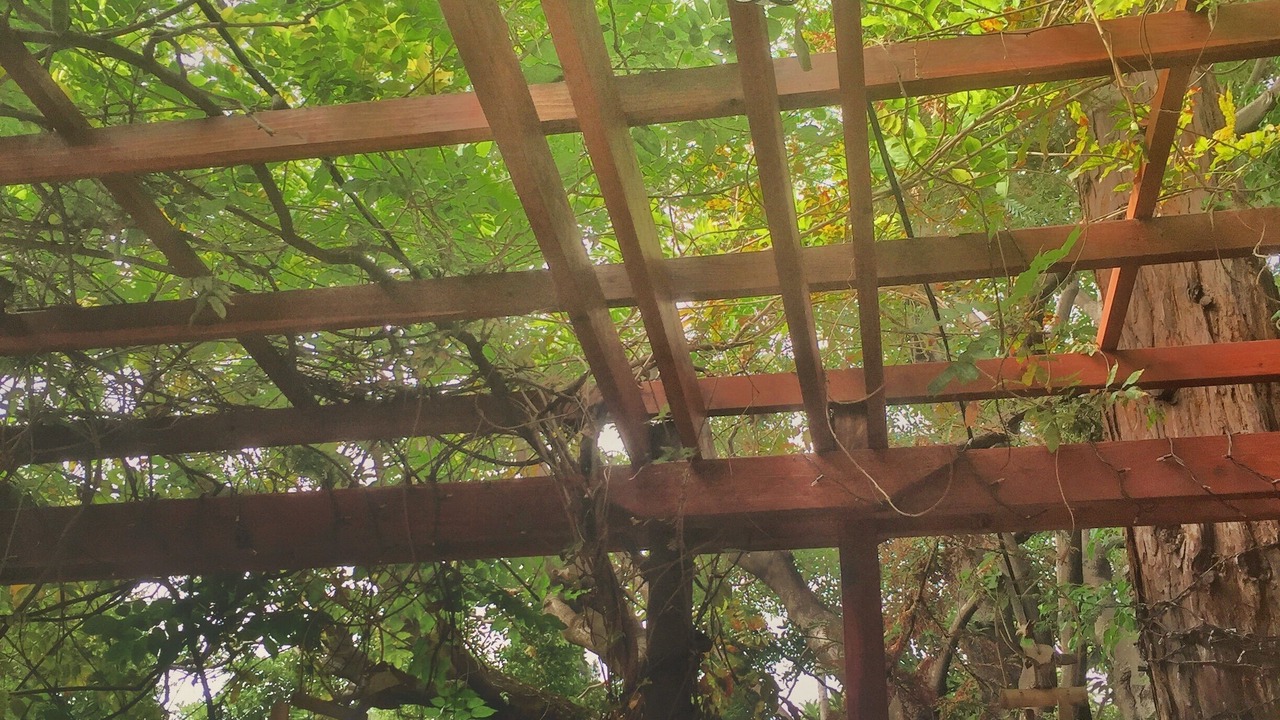 Photo of Outdoor in West Hollywood