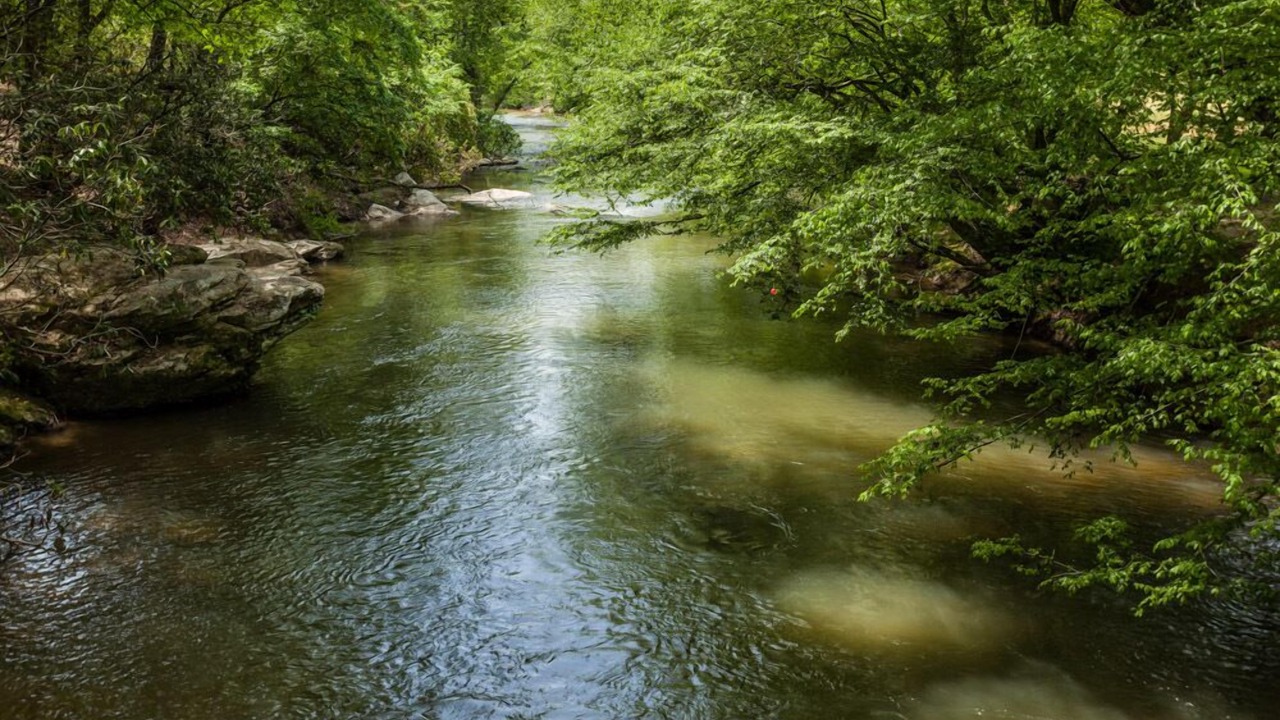 Photo of Others in Ellijay