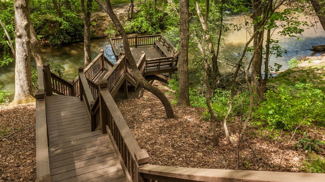 Photo of Outdoor in Ellijay