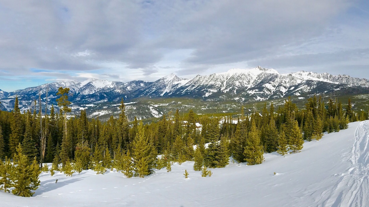 Photo of Others in Saddle Ridge
