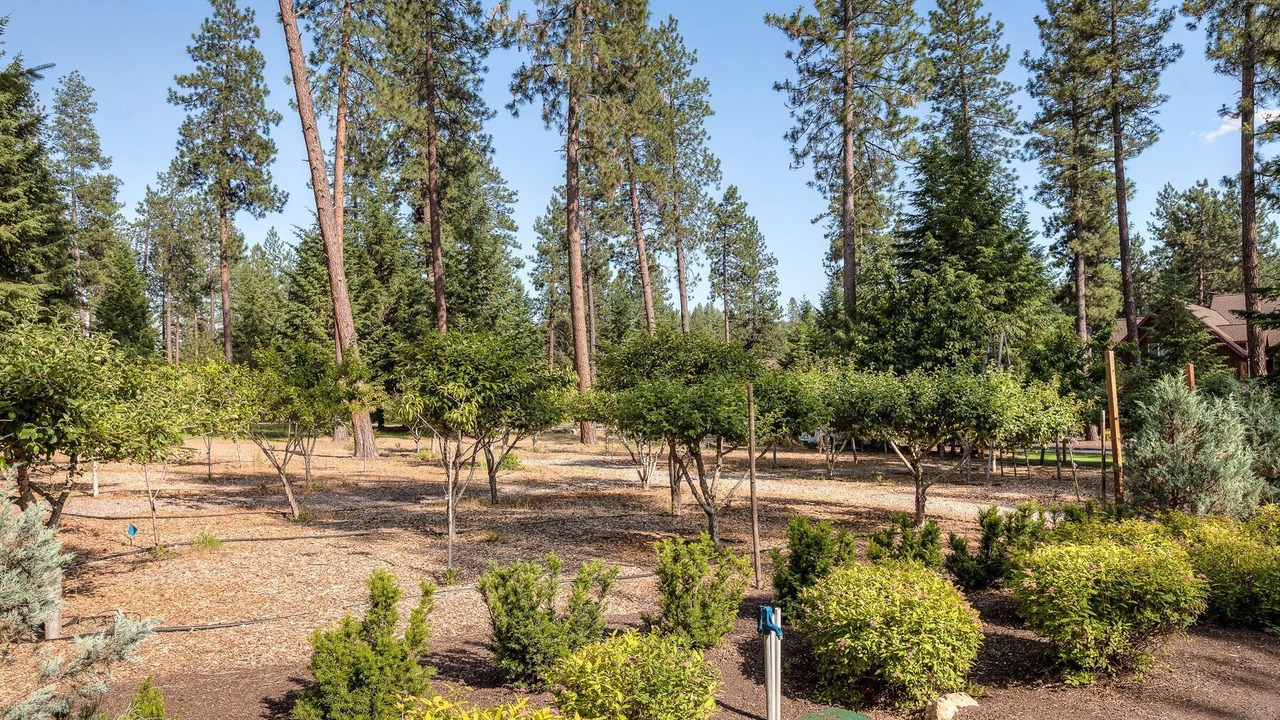 Photo of Outdoor in Post Falls