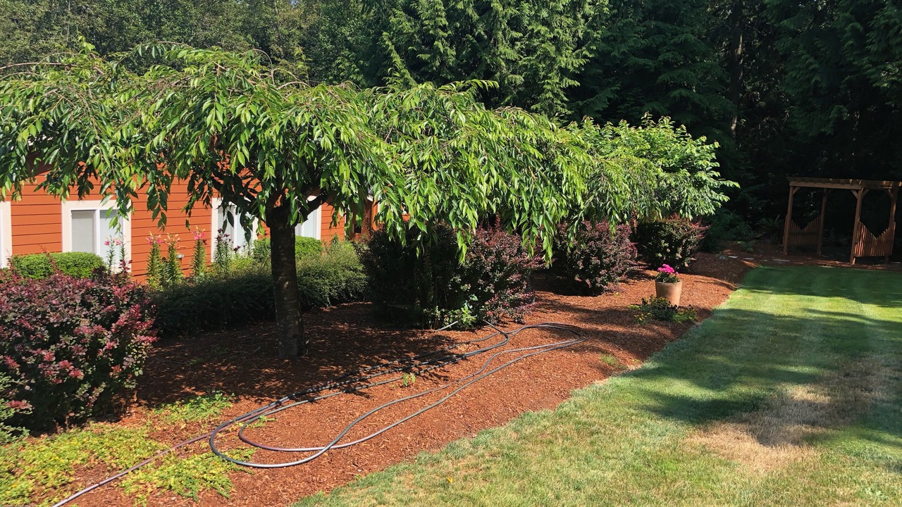 Photo of Outdoor in Stanwood