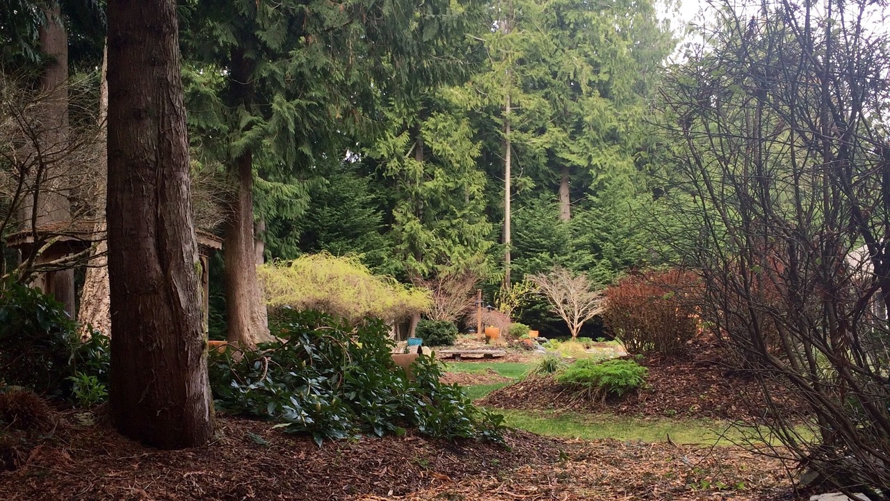 Photo of Others in Stanwood