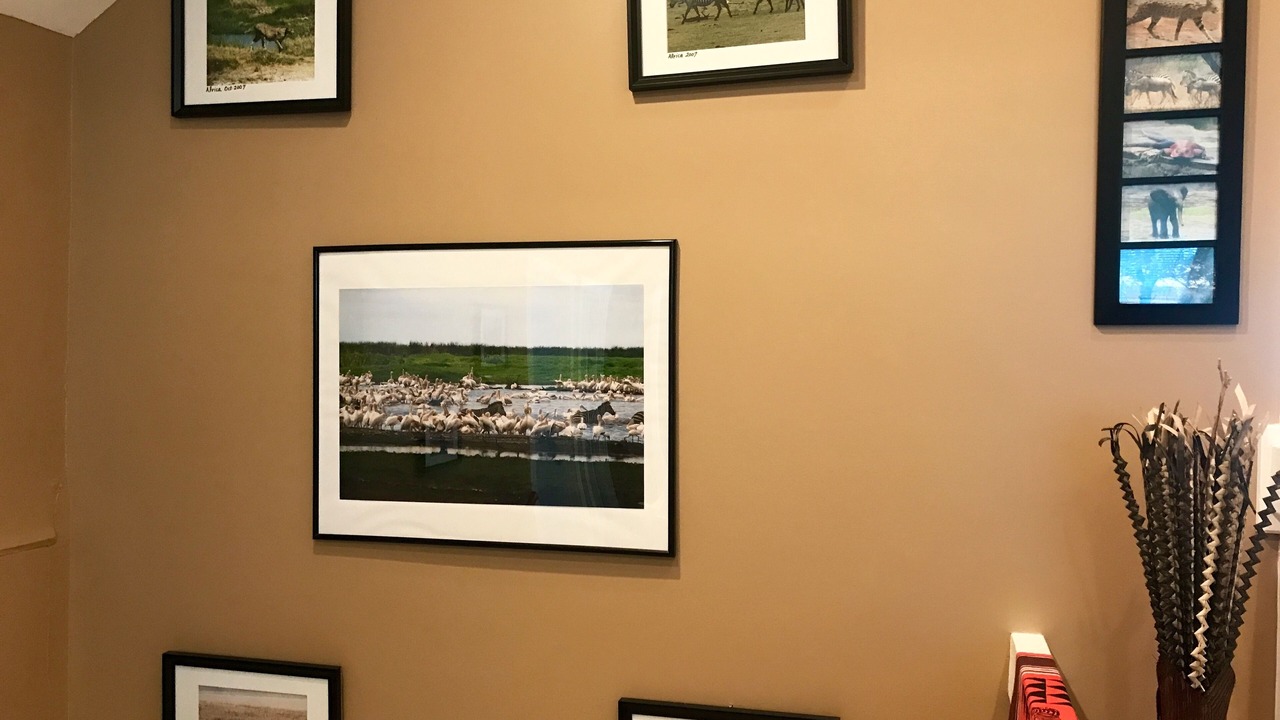 Photo of Others in Mashpee