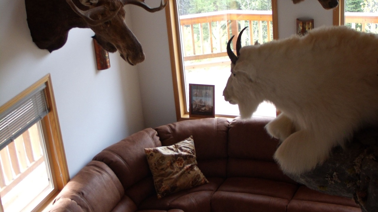 Photo of Livingroom in Essex