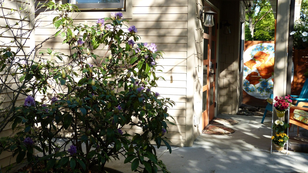 Photo of Outdoor in East End