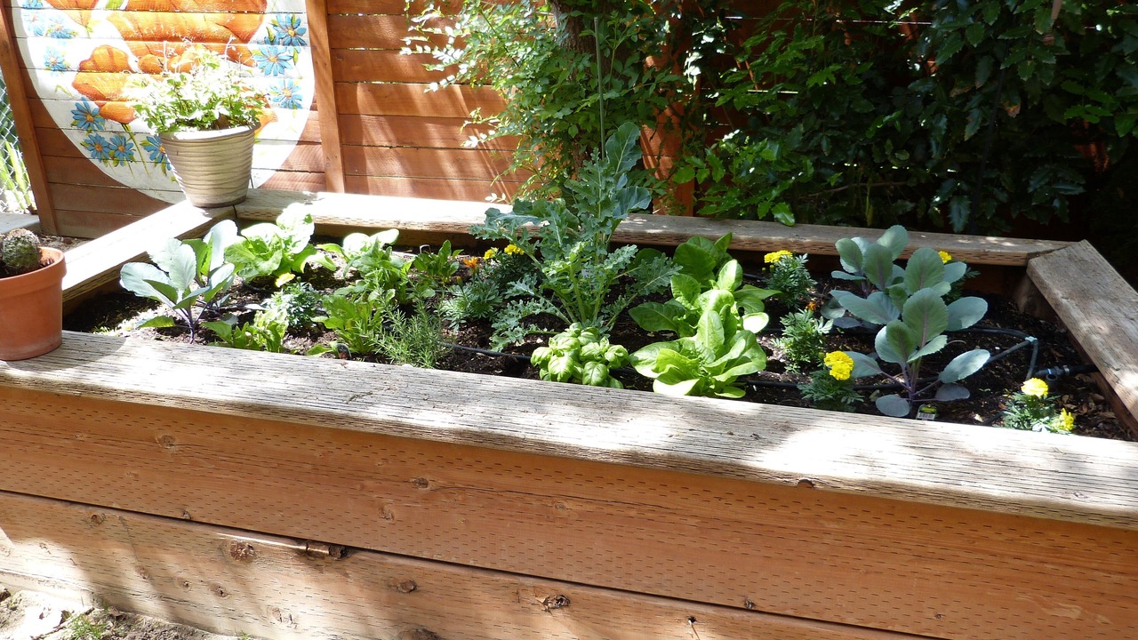 Photo of Outdoor in East End