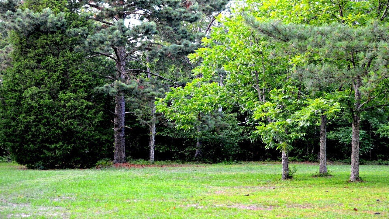 Photo of Outdoor in Aiken