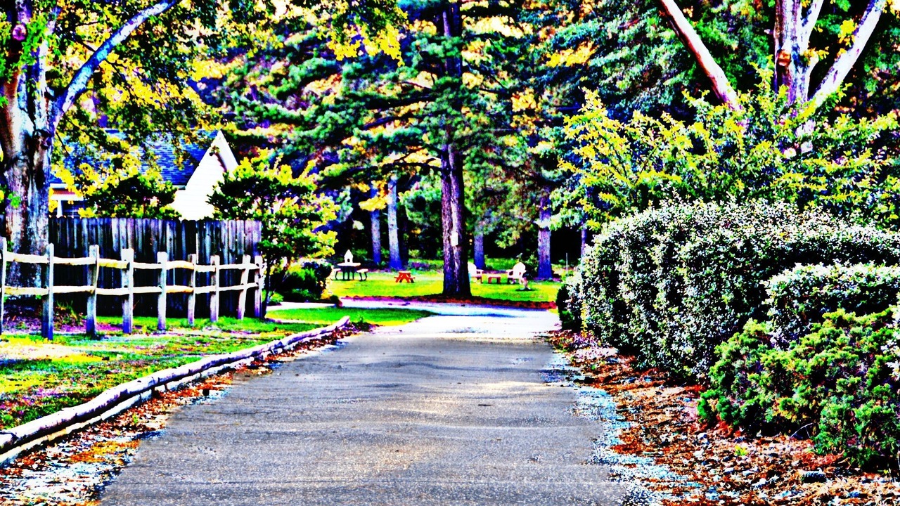 Photo of Outdoor in Aiken